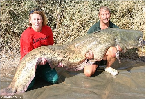 ����֮�� ������������������� ����Ȥ�£�ͼ