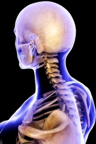 ��̾��ҽѧ3D������ͼ ��������ͼ