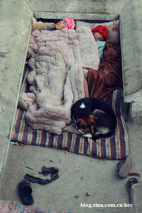 �Ჴ�����˿ֲ��Ļ��ᡪ��������