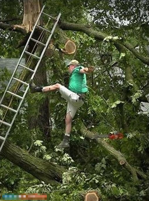 ץ�ľ��Ķ��ǵĶ��˲��(��ͼ)